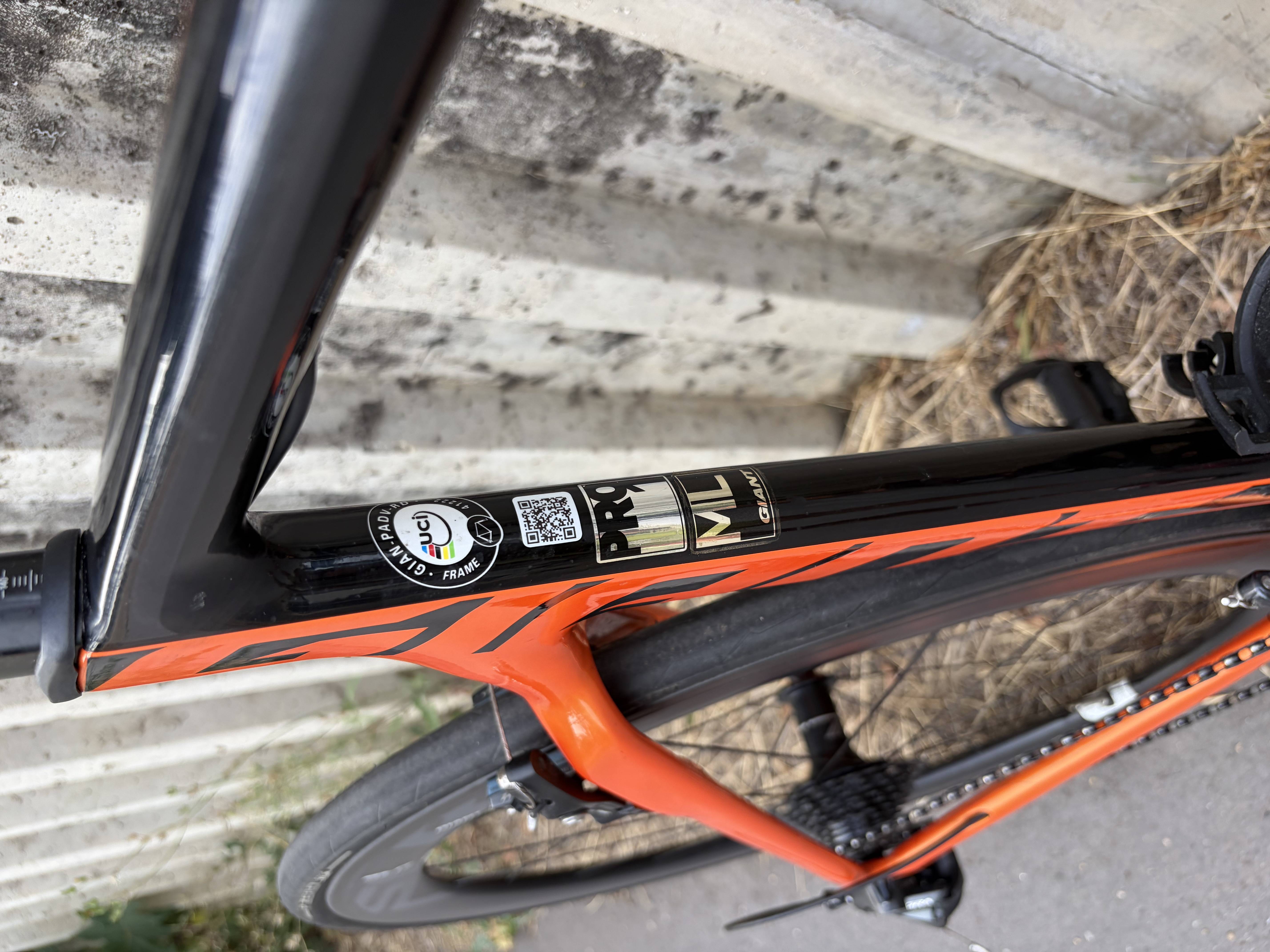 Giant Propel